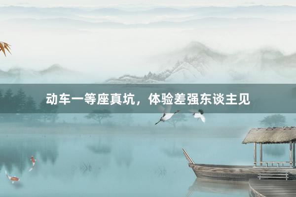 动车一等座真坑，体验差强东谈主见