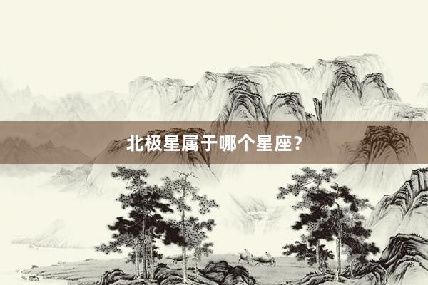 北极星属于哪个星座？